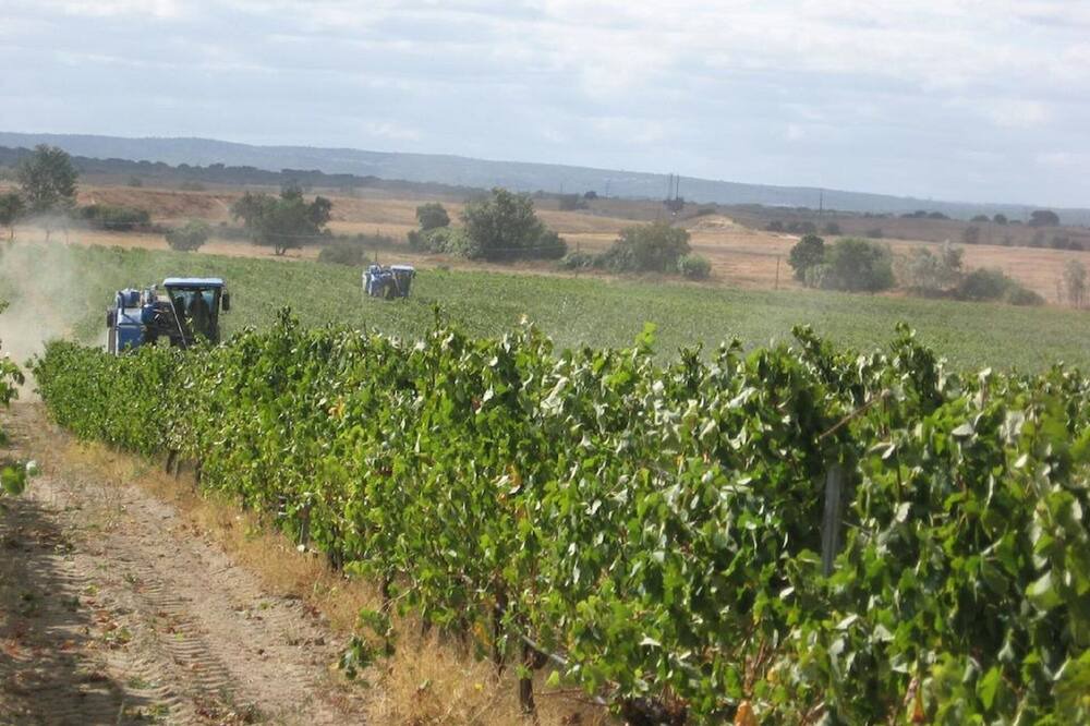 Photo of Outdoor in Evora