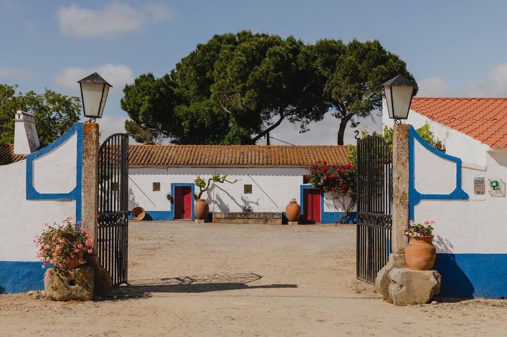 Photo of Others in Evora