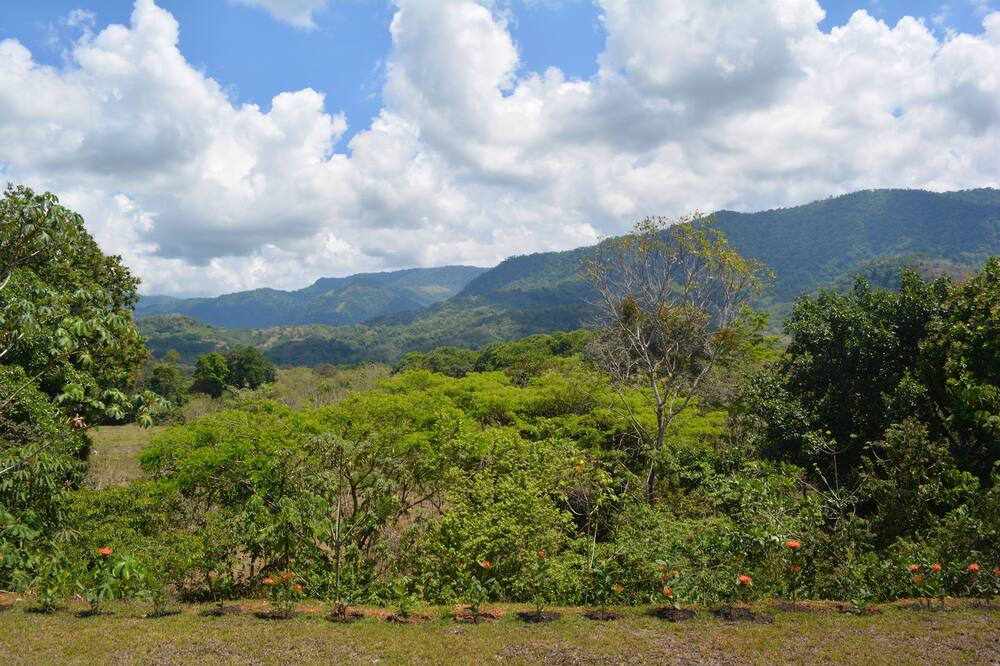 Photo of Outdoor in Ciudad Cortes