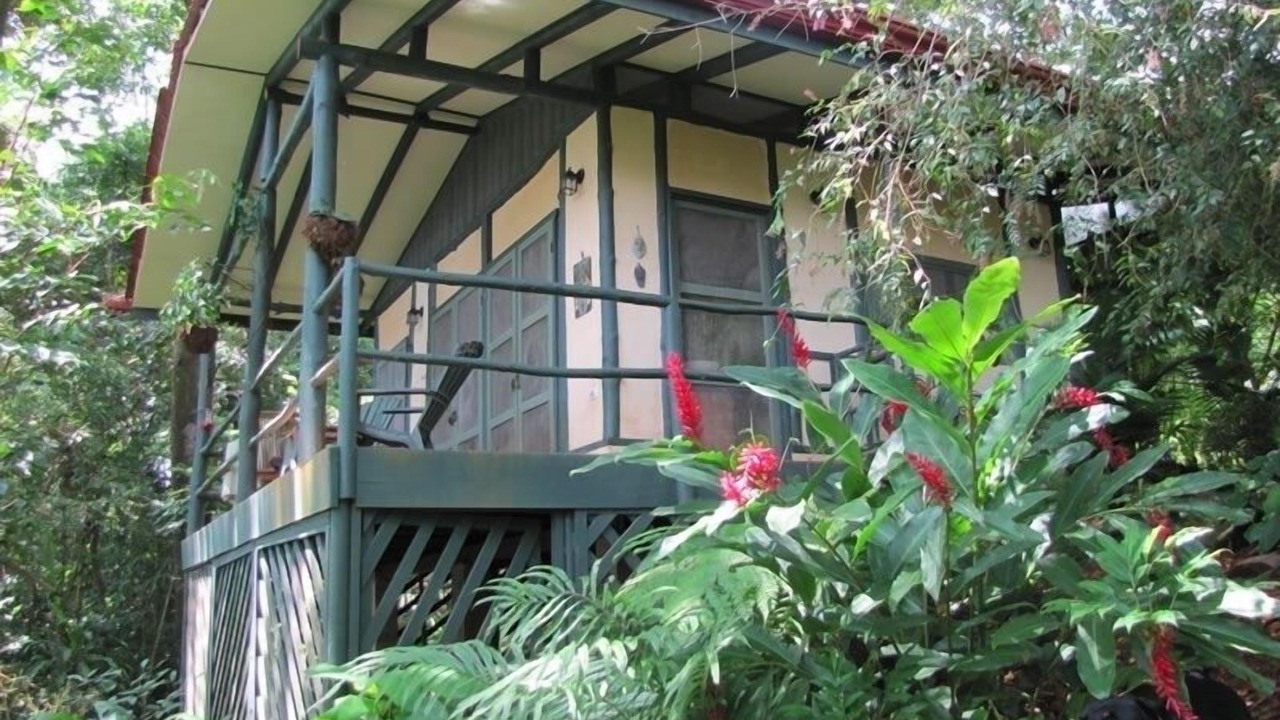 Photo of Outdoor in Dominical