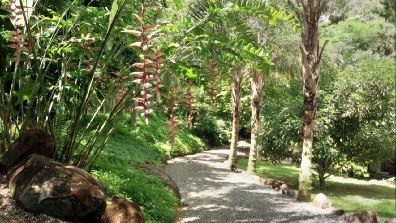 Photo of Outdoor in Dominical