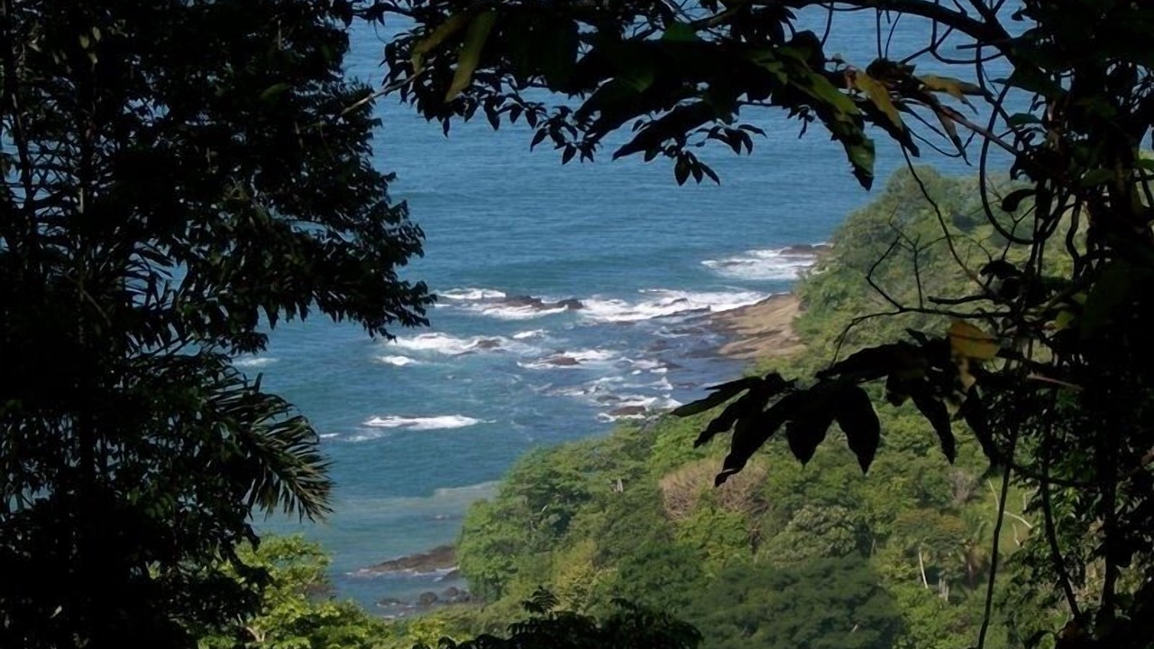 Photo of Others in Dominical