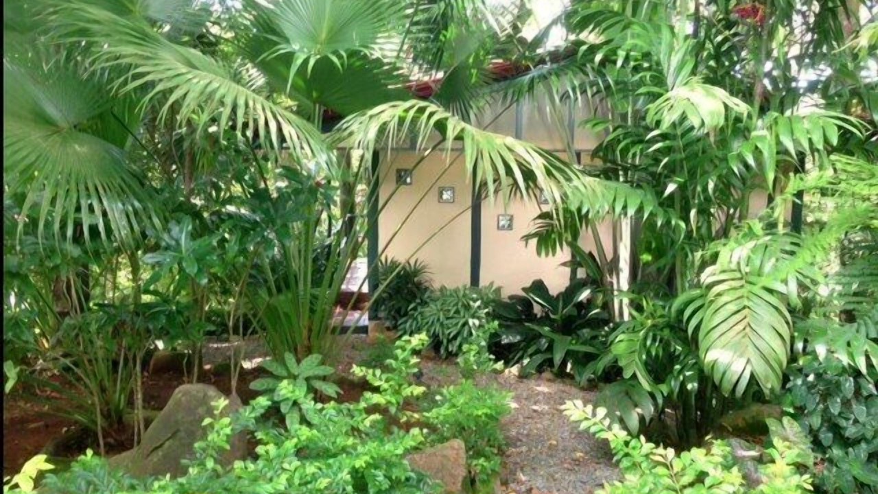 Photo of Outdoor in Dominical