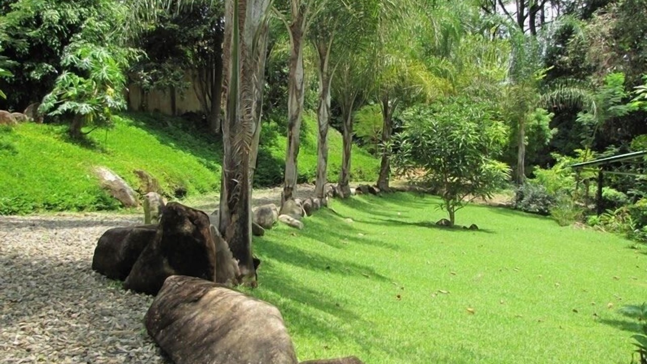 Photo of Outdoor in Dominical