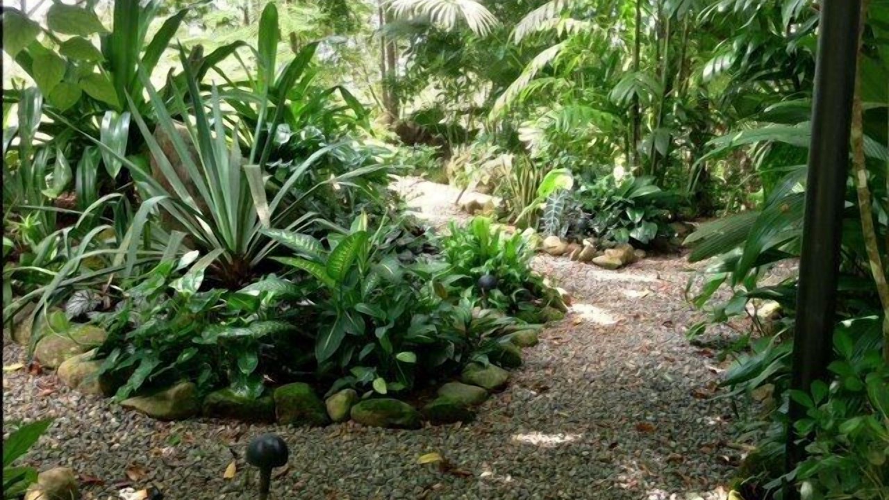 Photo of Outdoor in Dominical