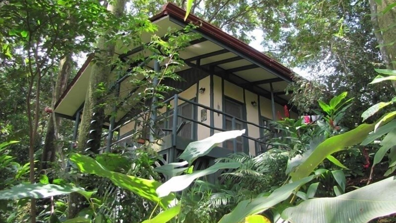 Photo of Others in Dominical