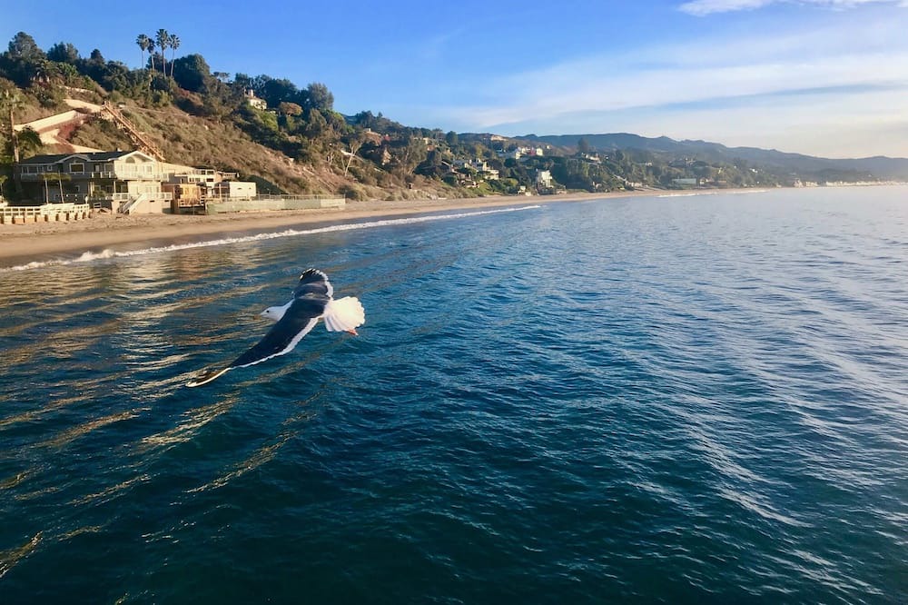 Photo of Others in Central Malibu