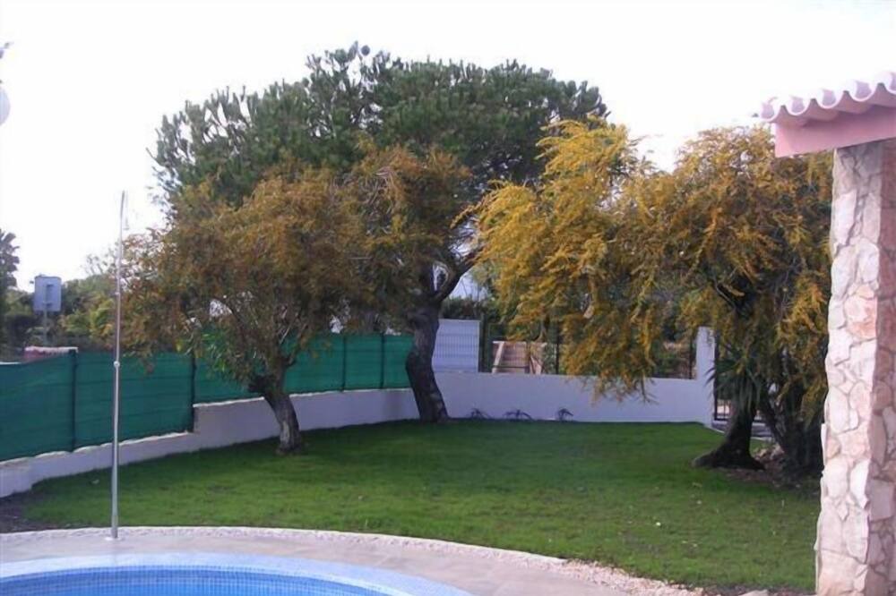 Photo of Outdoor in Mato Serrao
