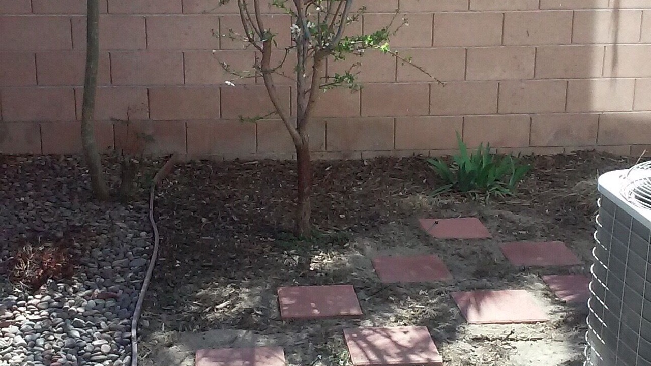 Photo of Outdoor in North Las Vegas