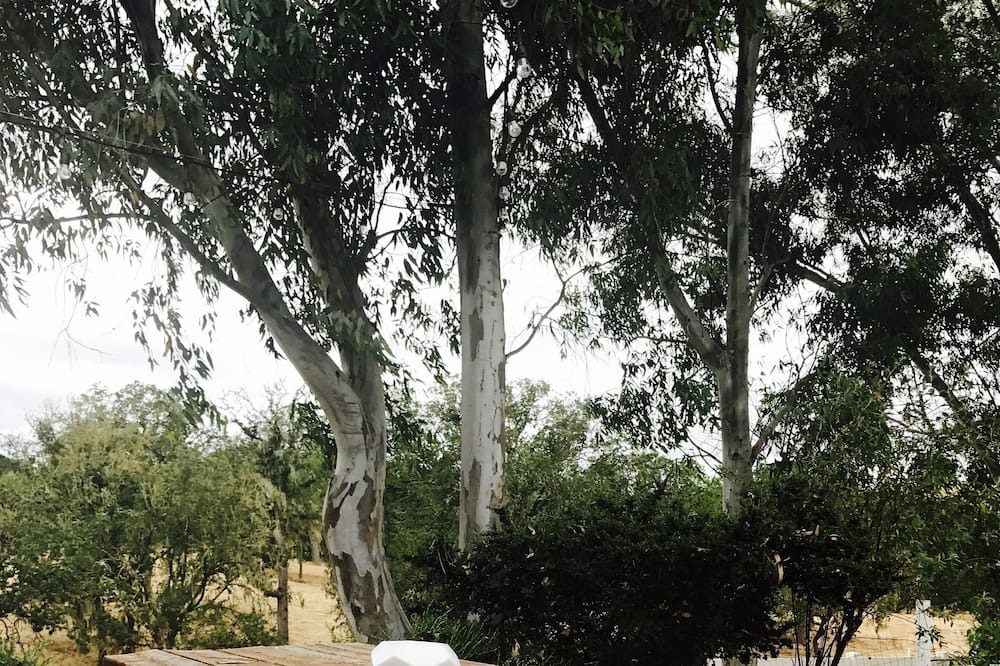 Photo of Outdoor in Templeton