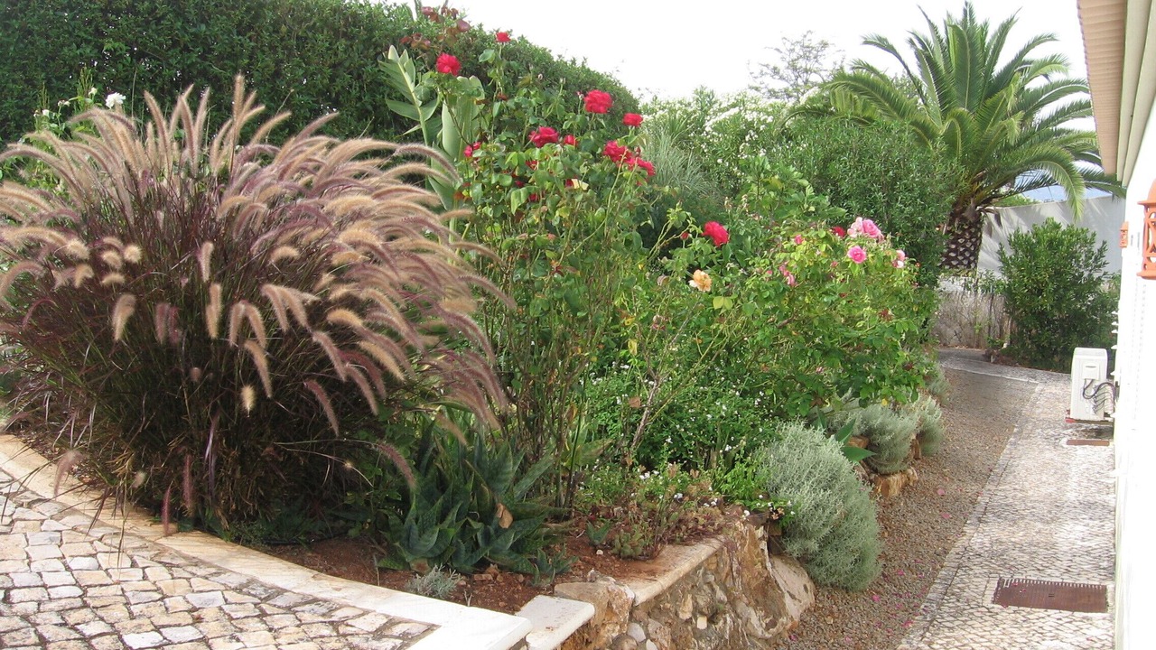 Photo of Outdoor in Alcalar