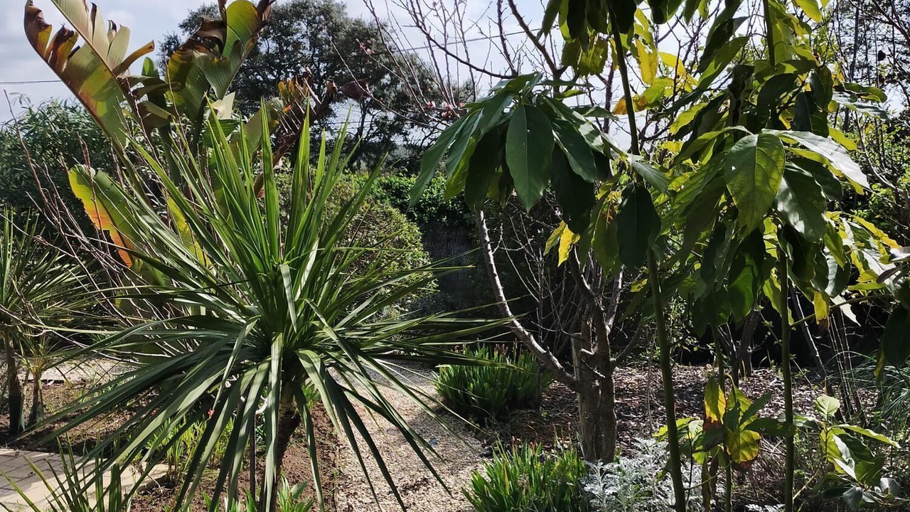 Photo of Outdoor in Alcalar