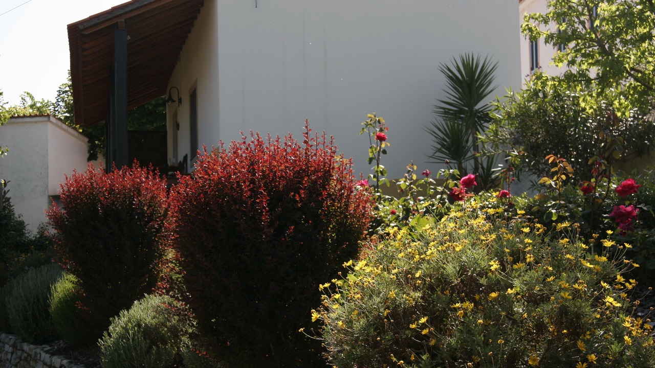 Photo of Outdoor in Nossa Senhora do Pranto