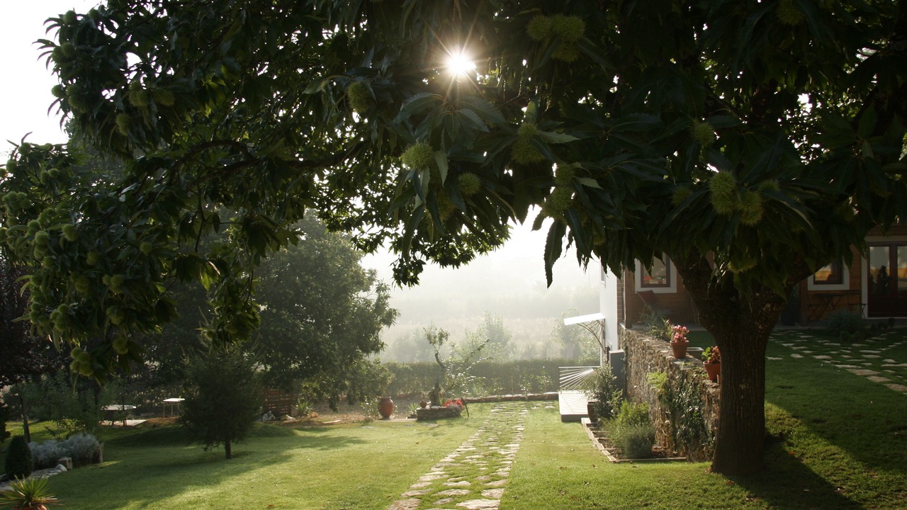 Photo of Outdoor in Nossa Senhora do Pranto