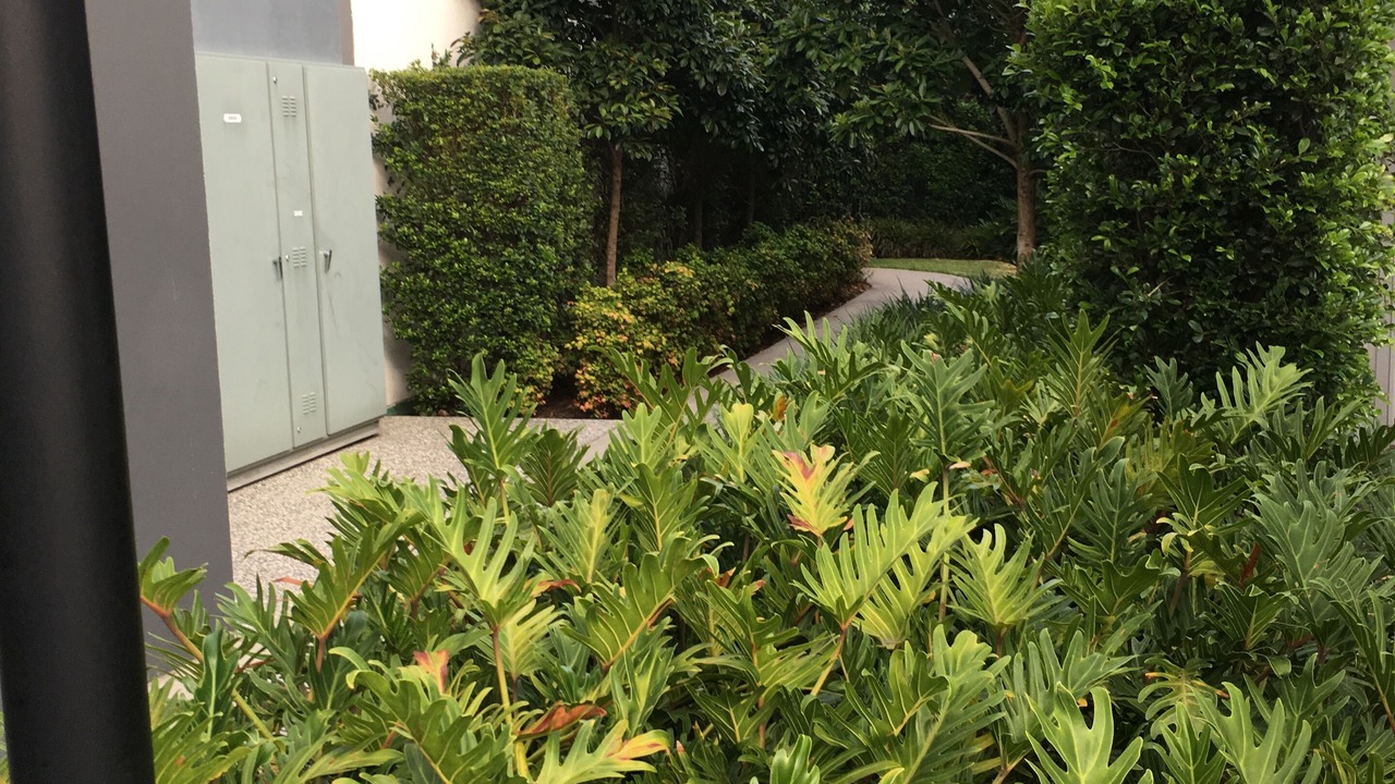 Photo of Outdoor in Biggera Waters