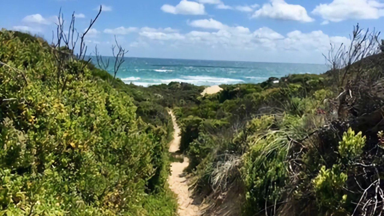 Photo of Others in Venus Bay