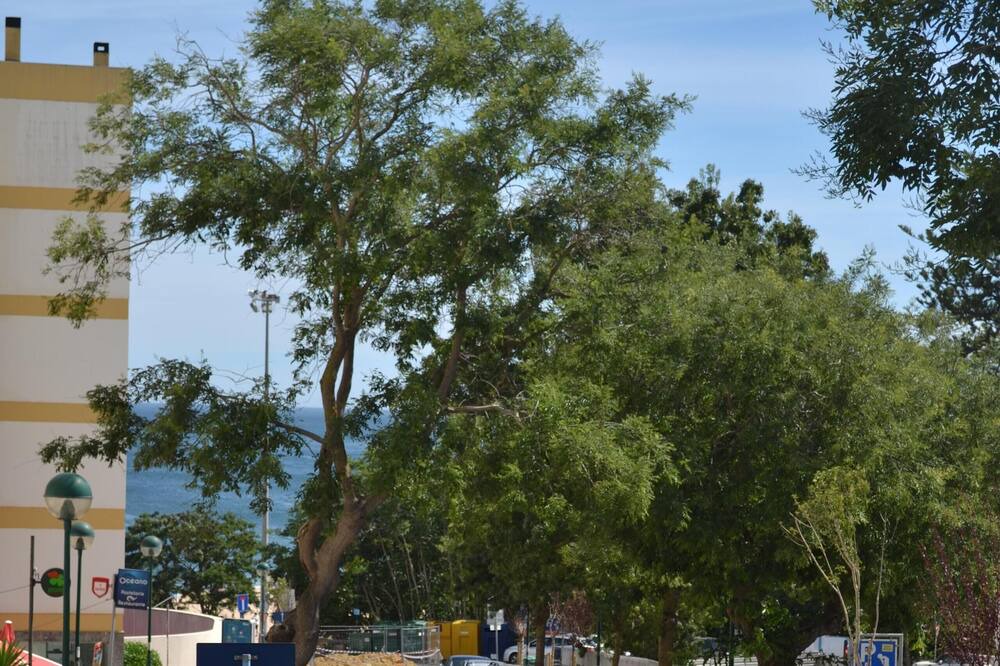 Photo of Outdoor in Oeiras