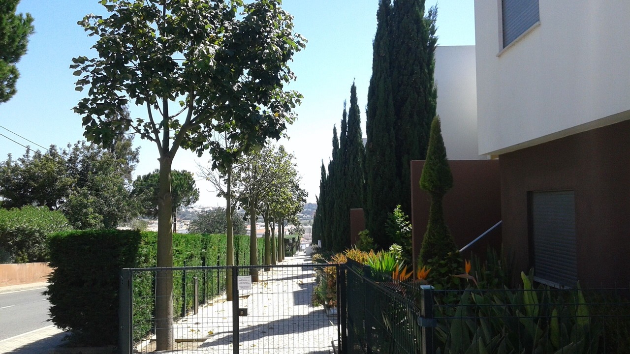 Photo of Outdoor in Vale de Parra