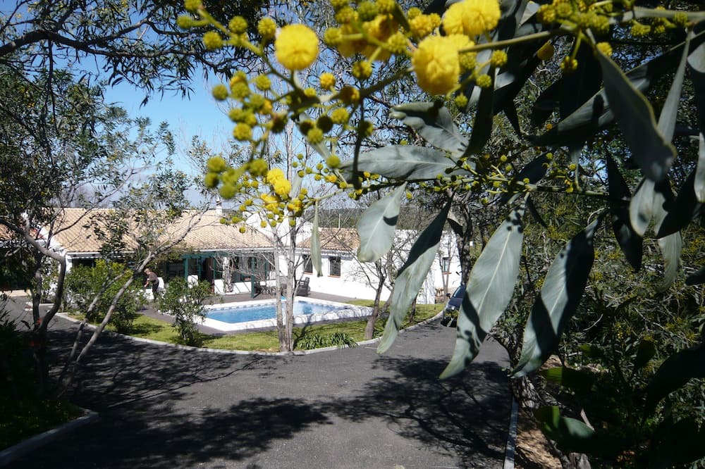 Photo of Outdoor in Picarral