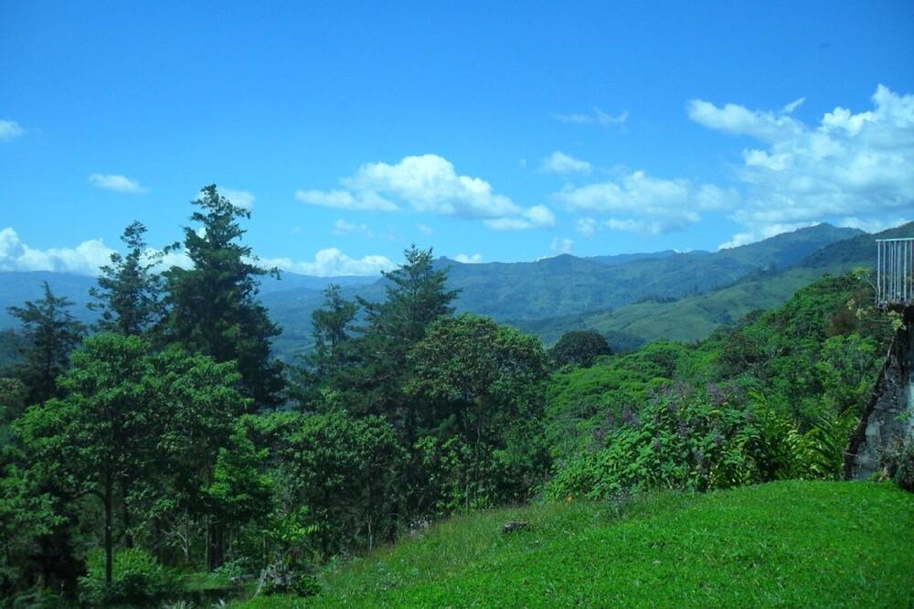 Photo of Outdoor in Rivas