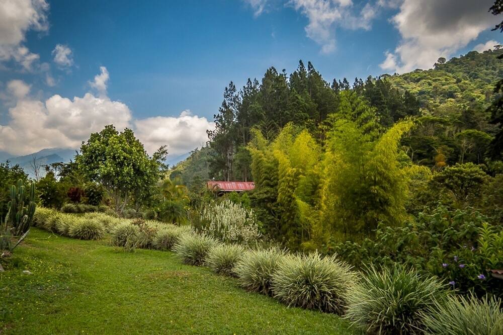 Photo of Outdoor in Rivas