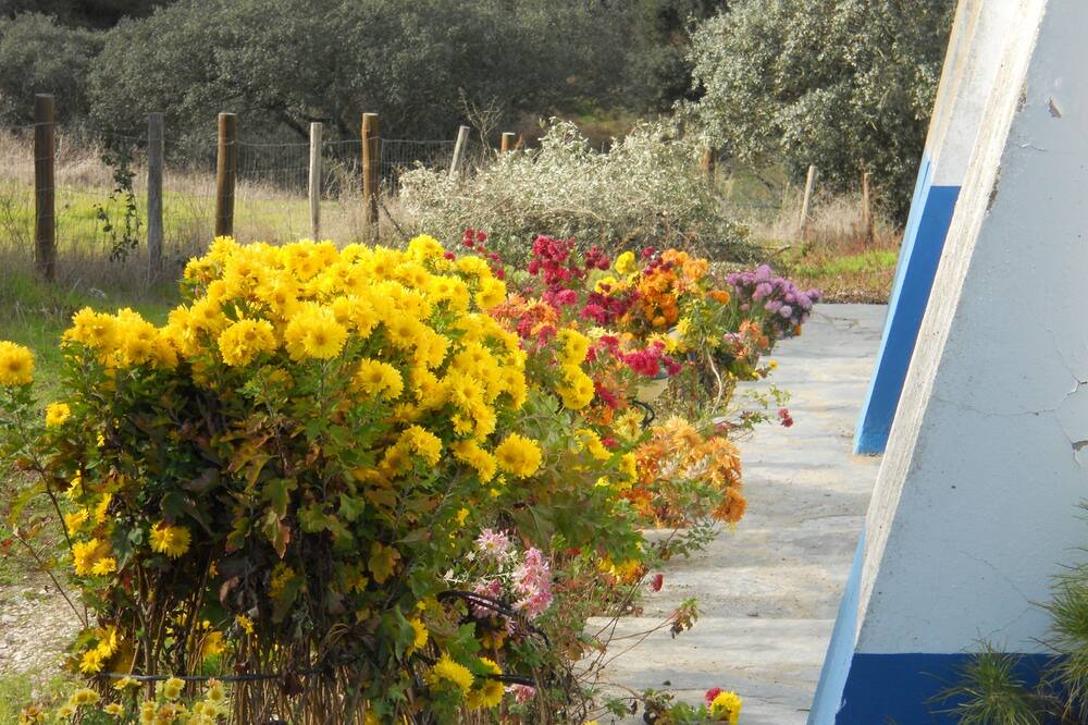 Photo of Outdoor in Santiago Maior
