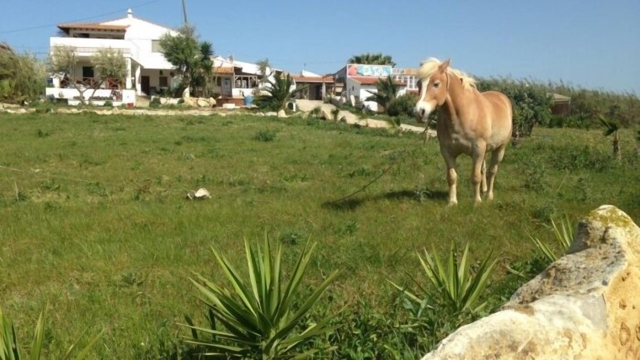 Photo of Outdoor in Atalaia
