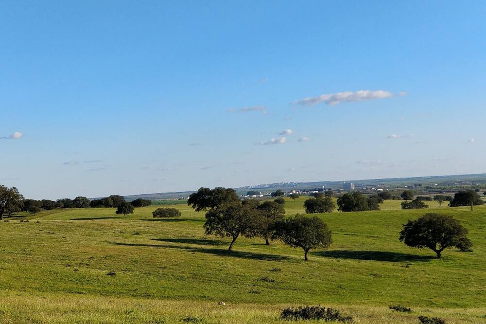 Photo of Outdoor in Cuba