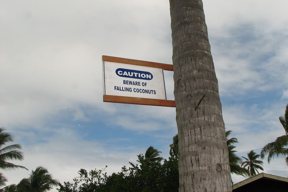 Photo of Others in Cuvu