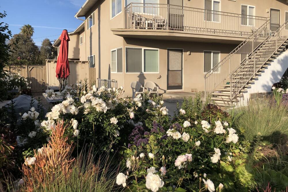 Photo of Outdoor in Carpinteria