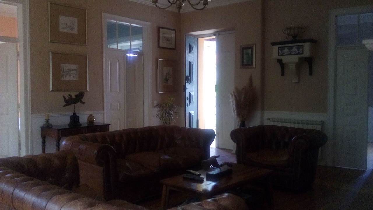 Photo of Livingroom in Ameal