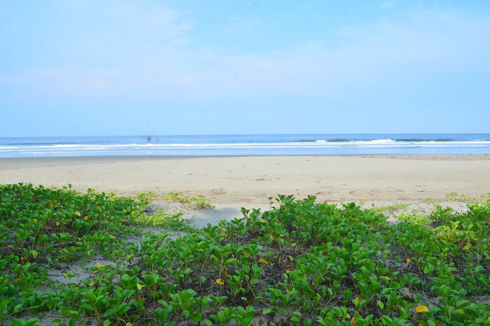 Photo of Others in Playa El Coco
