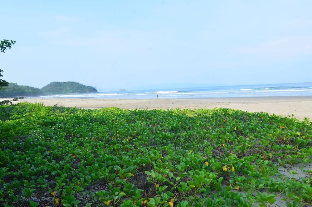 Photo of Others in Playa El Coco