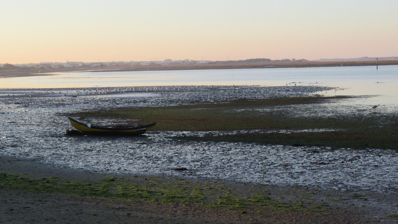 Photo of Others in Gafanha do Carmo