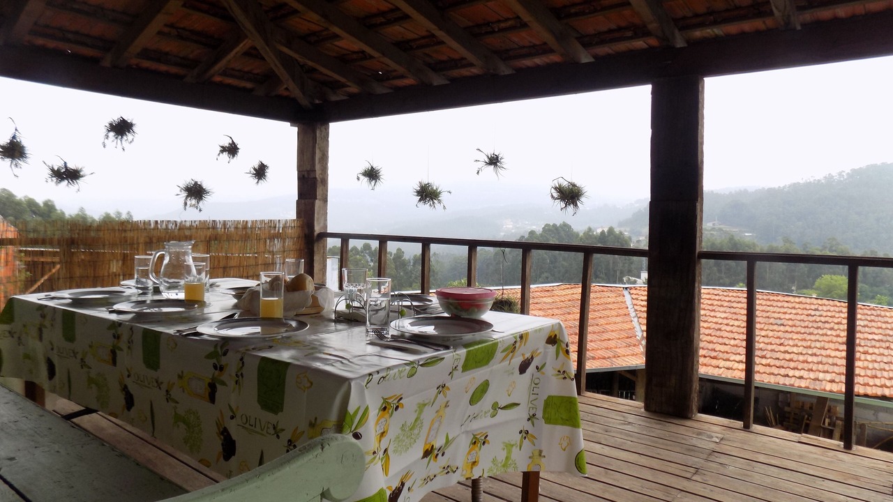 Photo of Outdoor in Arouca