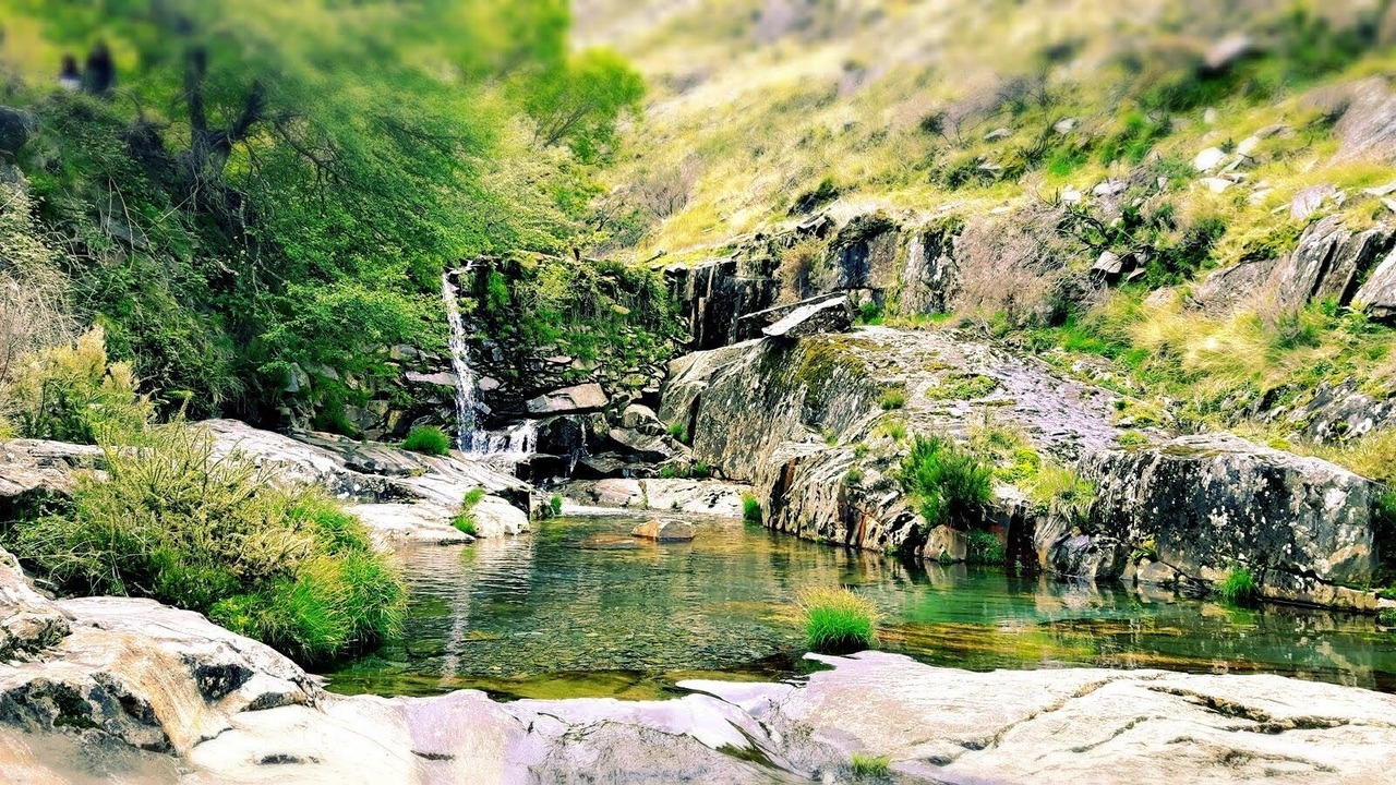 Photo of Outdoor in Arouca