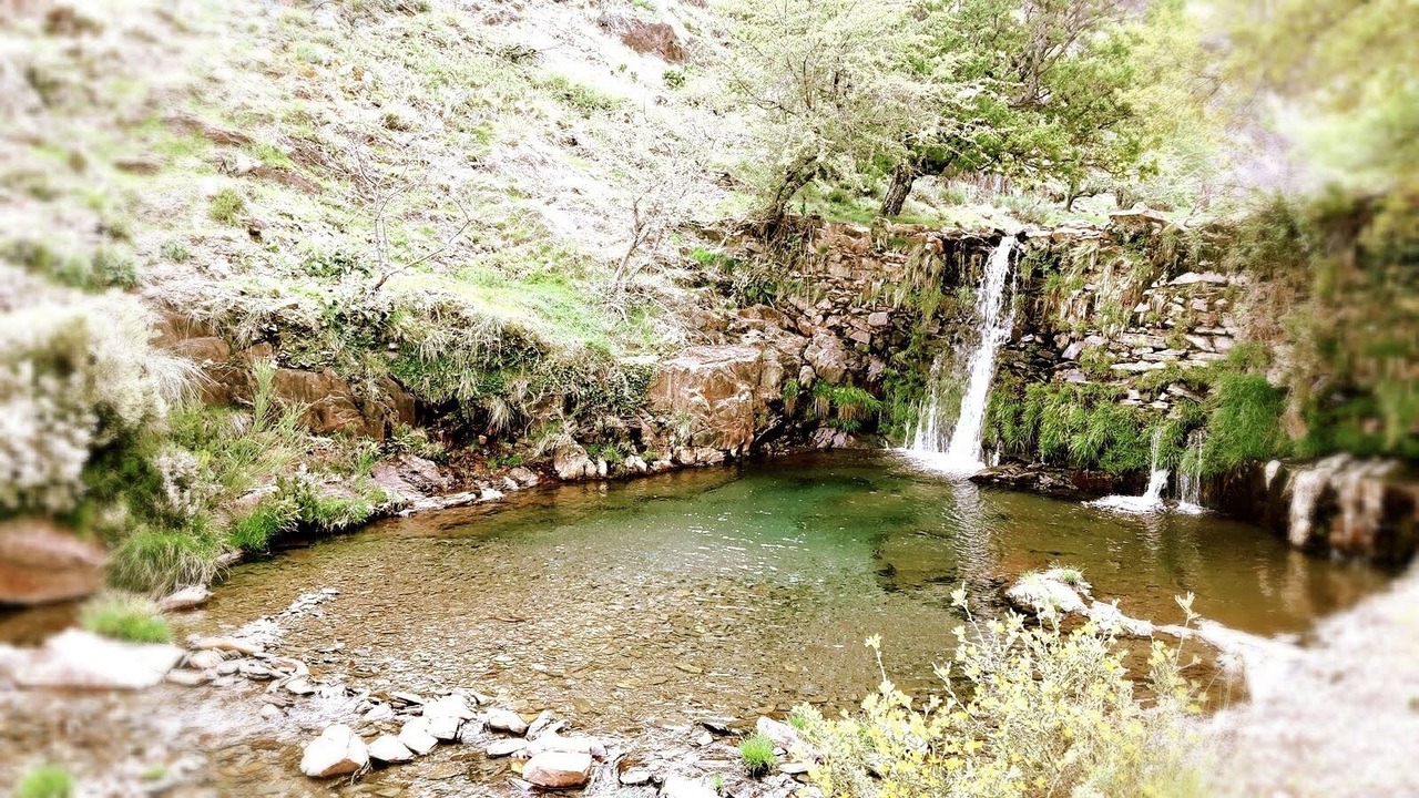 Photo of Outdoor in Arouca
