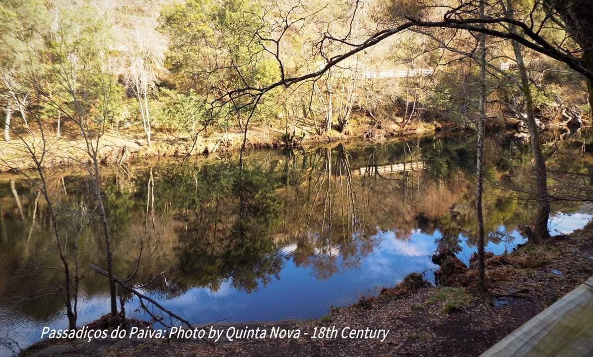 Photo of Outdoor in Arouca
