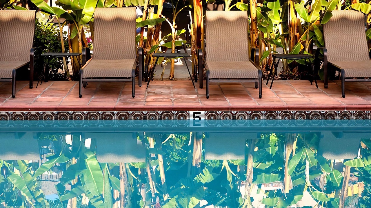 Photo of Outdoor in Tahquitz River Estates