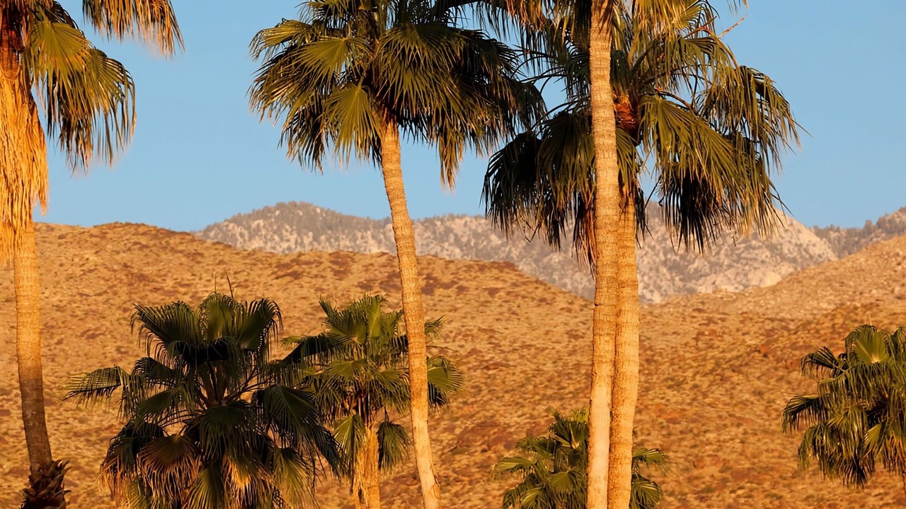 Photo of Others in Tahquitz River Estates