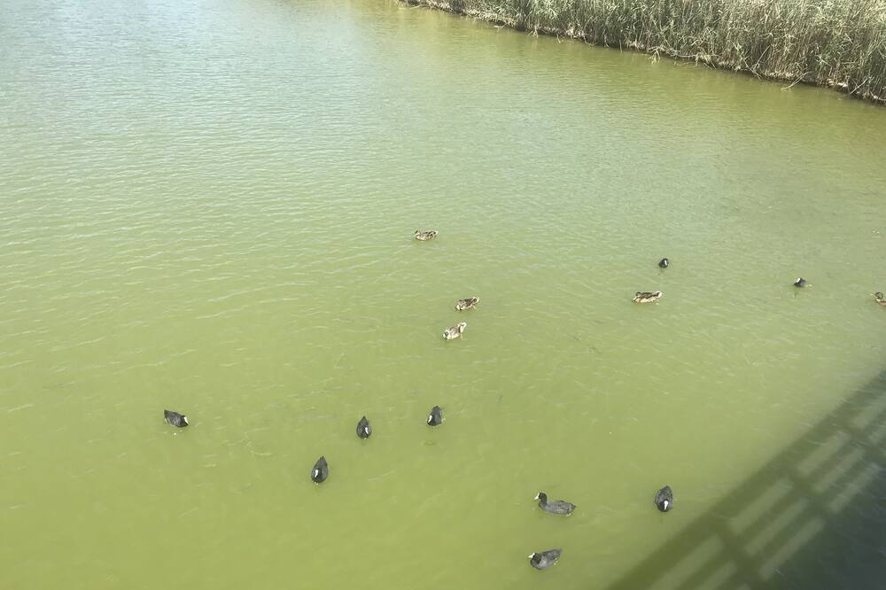 Photo of Others in Vale de Parra