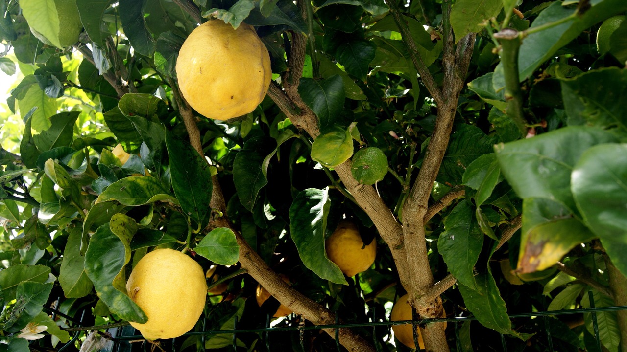 Photo of Outdoor in Torres Vedras