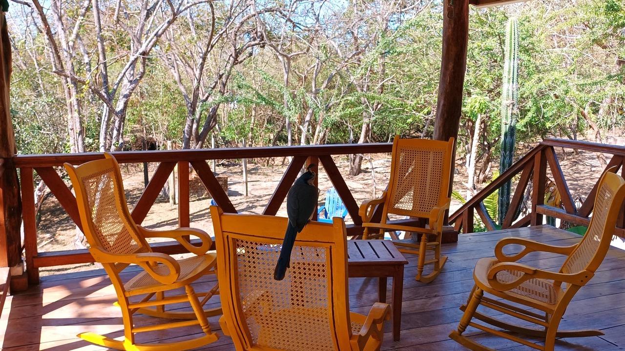 Photo of Outdoor in Playa El Coco