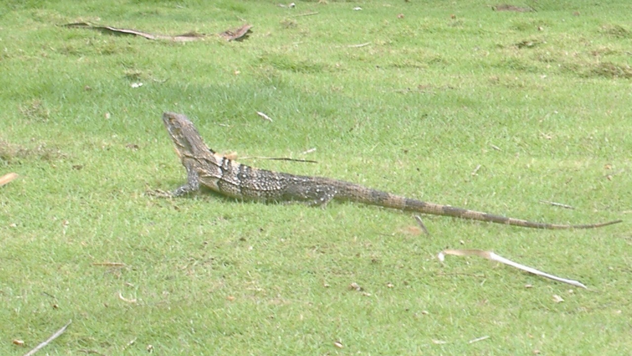Photo of Outdoor in Playa El Coco