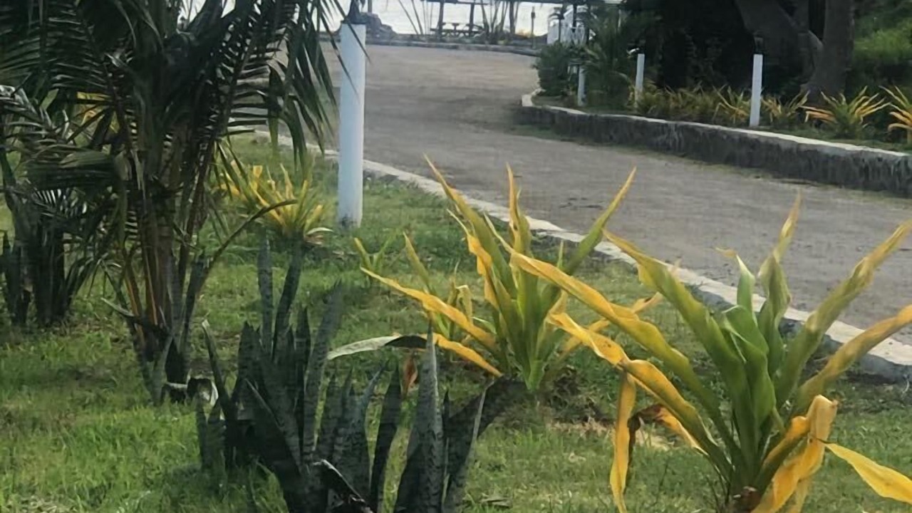 Photo of Outdoor in Rakiraki