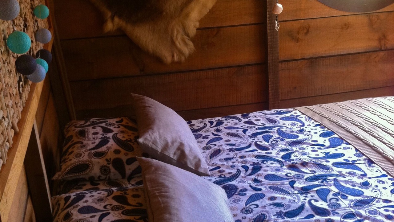 Photo of Bedroom in Santiago do Cacem