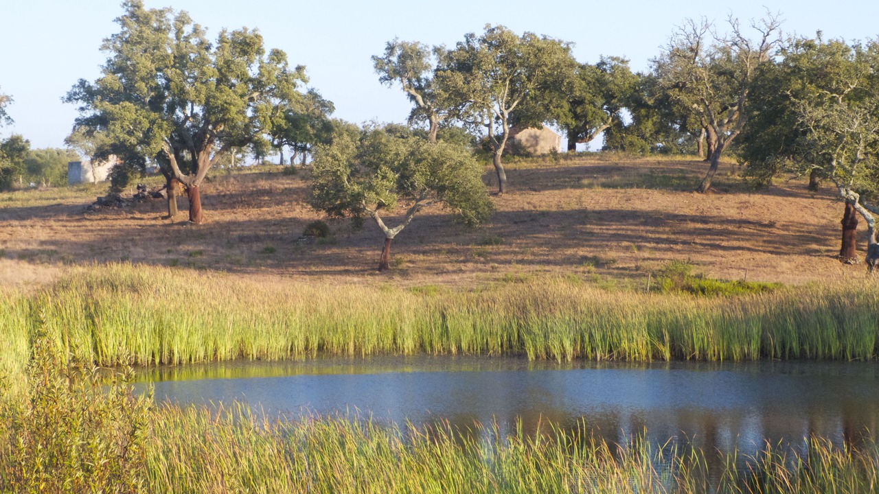 Photo of Outdoor in Santiago do Cacem