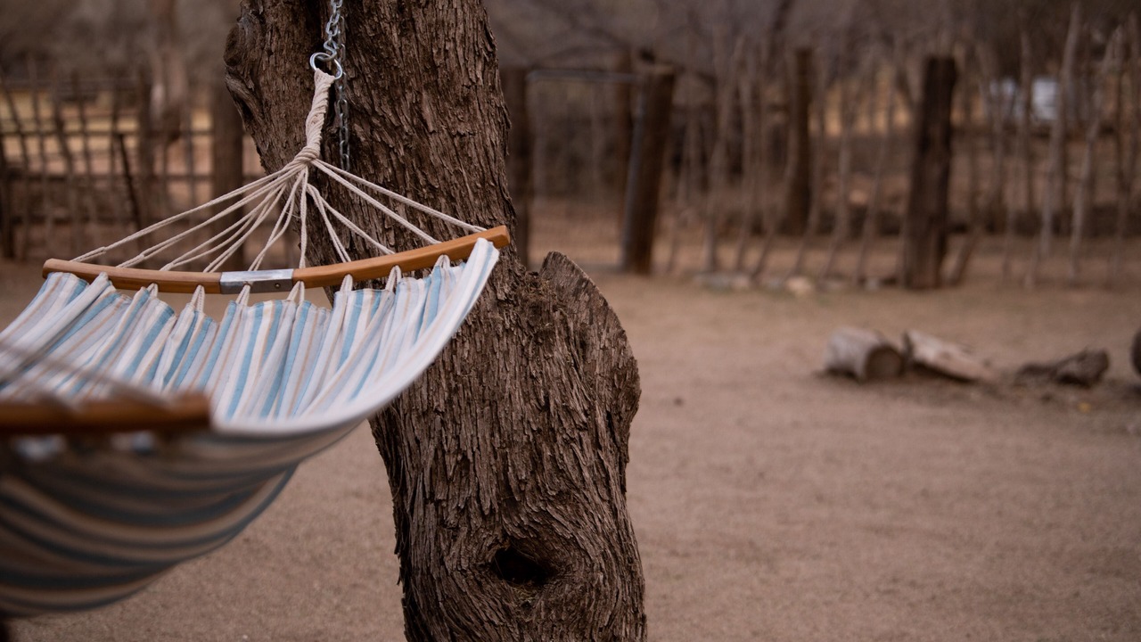 Photo of Others in Wickenburg