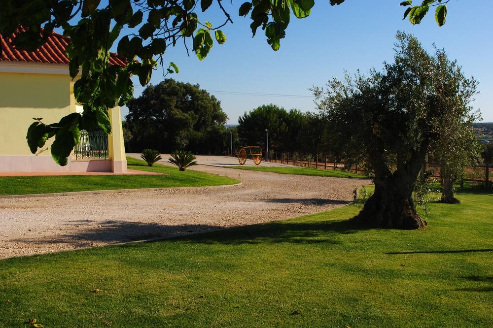 Photo of Outdoor in Alcacer do Sal