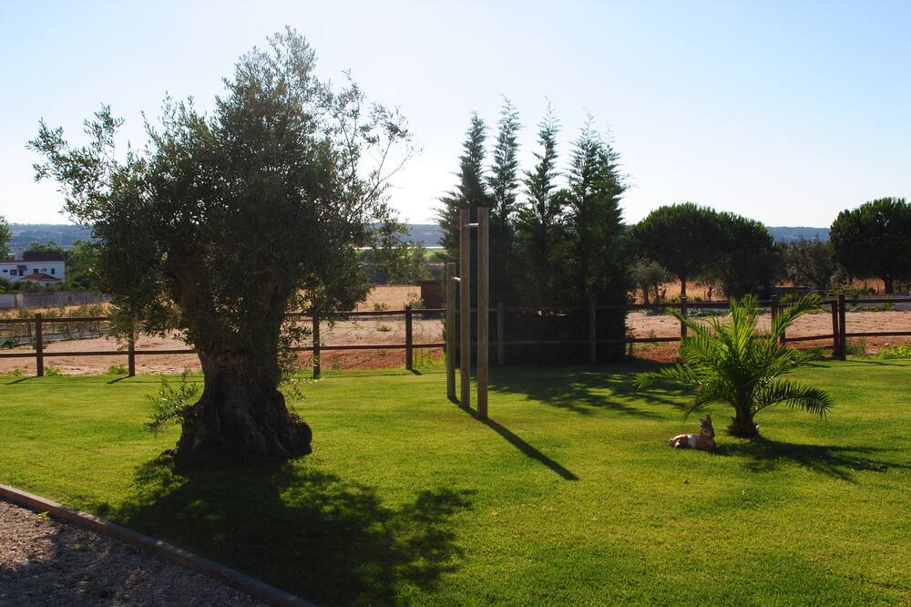 Photo of Outdoor in Alcacer do Sal